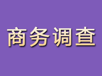 营山商务调查